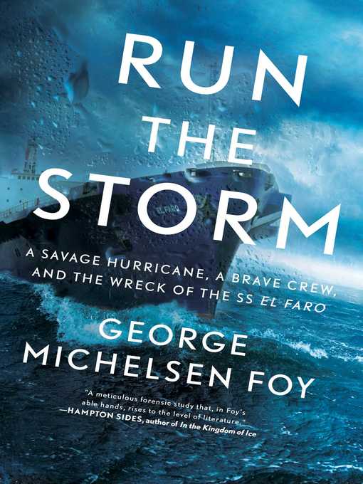 Title details for Run the Storm by George Michelsen Foy - Wait list
